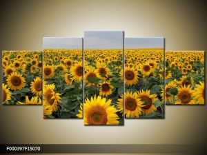 Päťdielna sada moderných obrazov o rozmere 150x70 cm s motívom kvetov