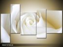 Päťdielna sada moderných obrazov o rozmere 190x120 cm s motívom kvetov