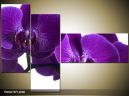 Trojdielna sada moderných obrazov o rozmere 130x90 cm s motívom kvetov