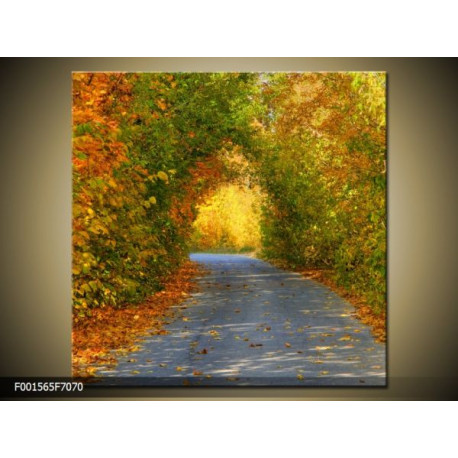 Moderný obraz o rozmere 70x70 cm s motívom krajiny