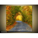 Moderný obraz o rozmere 70x70 cm s motívom krajiny