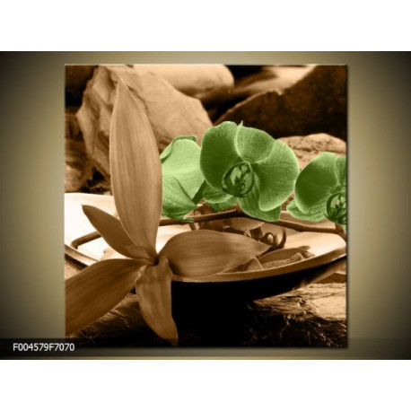 Moderný obraz o rozmere 70x70 cm s motívom kvetov