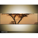 Moderný obraz o rozmere 140x40 cm s motívom krajiny