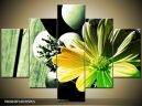 Päťdielna sada moderných obrazov o rozmere 100x70 cm s motívom kvetov