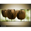 Moderný obraz o rozmere 100x40 cm s motívom kvetov