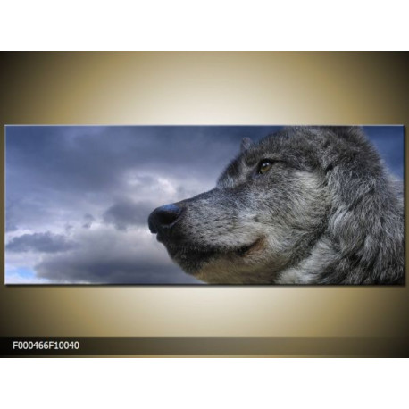 Moderný obraz o rozmere 100x40 cm s motívom zvieraťa
