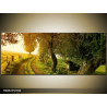 Moderný obraz o rozmere 145x58 cm s motívom krajiny