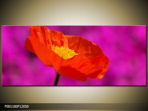 Moderný obraz o rozmere 120x50 cm s motívom kvetov
