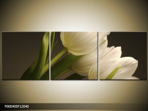 Trojdielna sada moderných obrazov o rozmere 120x40 cm s motívom kvetov