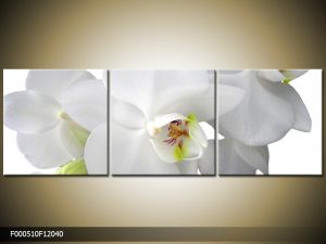 Trojdielna sada moderných obrazov o rozmere 120x40 cm s motívom kvetov