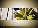 Trojdielna sada moderných obrazov o rozmere 90x30 cm s motívom kvetov