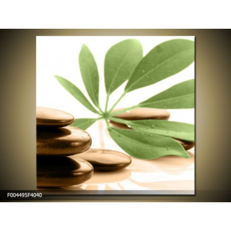 Moderný obraz o rozmere 40x40 cm s rôznym motívom