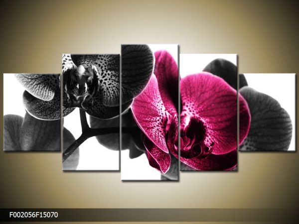 Päťdielna sada moderných obrazov o rozmere 150x70 cm s motívom kvetov