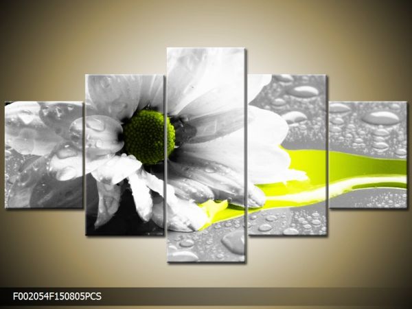 Päťdielna sada moderných obrazov o rozmere 150x80 cm s motívom kvetov