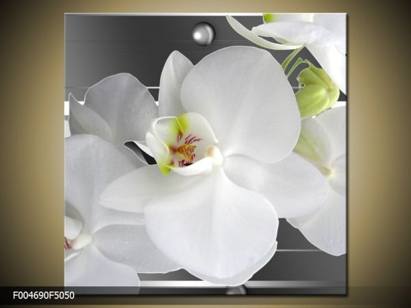 Moderný obraz o rozmere 50x50 cm s motívom kvetov