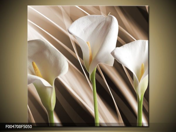 Moderný obraz o rozmere 50x50 cm s motívom kvetov