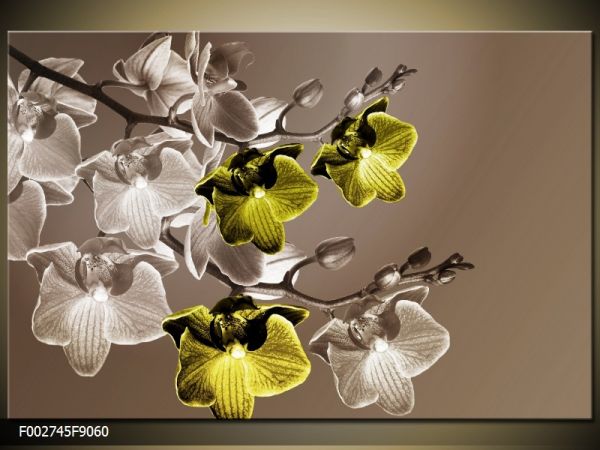 Moderný obraz o rozmere 90x60 cm s motívom kvetov